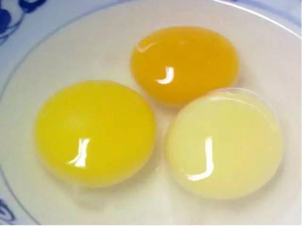封面圖